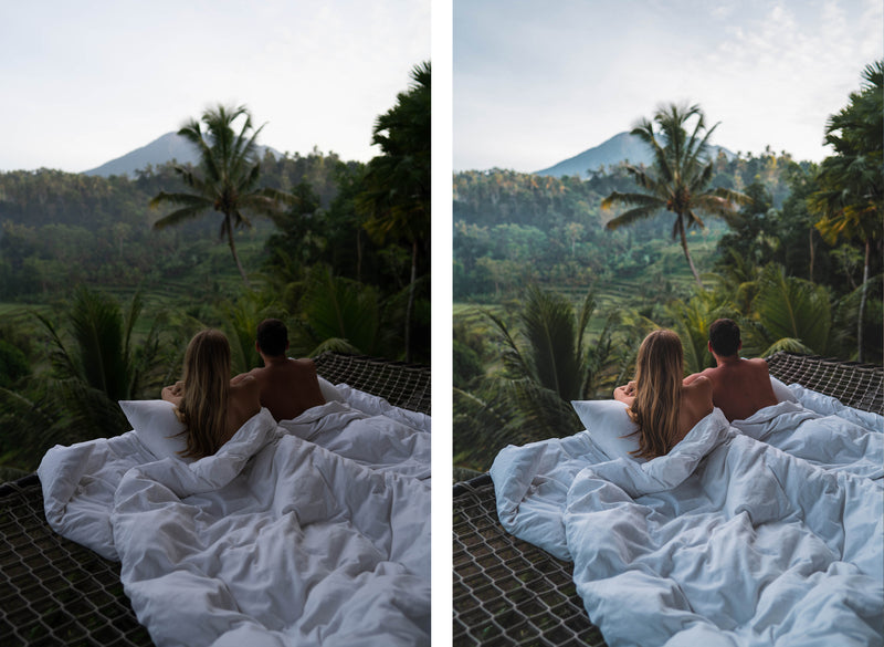 BALI PRESETS (Mobile + Desktop)